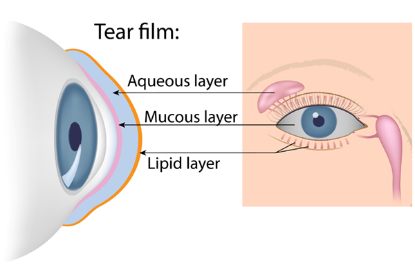 Tears chemical composition